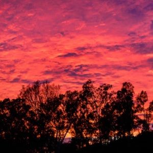 Meet your Posher, Jazmin